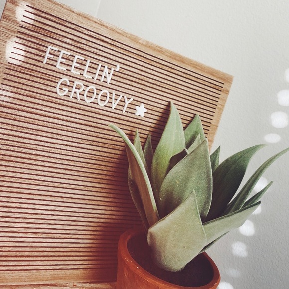 โ๐๐๐๐ & ๐ฒ๐๐๐ธ๐๐๐! - Picture 2 of 2